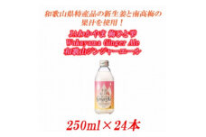 JAわかやま 生姜丸しぼり Wakayama Ginger Ale　和歌山ジンジャーエール 250ml×24本