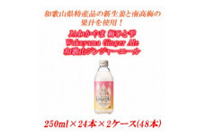 JAわかやま 生姜丸しぼり Wakayama Ginger Ale　和歌山ジンジャーエール 250ml×24本×2ケース(48本入)