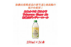 JAわかやま 梅ひと雫 Wakayama Ginger Ale 和歌山ジンジャーエール 250ml ×24本