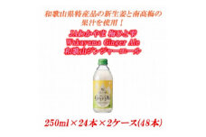 JAわかやま 梅ひと雫 Wakayama Ginger Ale 和歌山ジンジャーエール 250ml ×24本×2ケース(48本)
