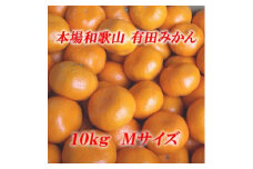 ■[11月下旬より順次発送]和歌山県産有田産　有田みかん（温州）　１０ｋｇ　Ｍサイズ