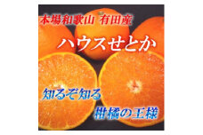 ■[2020年1月上旬より順次発送]和歌山県有田産　ハウスせとか　約4kg　10～15玉