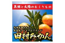 ■[11月下旬より順次発送]和歌山県有田産　田村みかん 青秀　5kg　Ｍサイズ