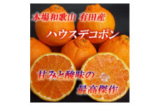 ■[12月下旬より順次発送]和歌山県有田産　ハウスデコポン　約4kg　10～15玉