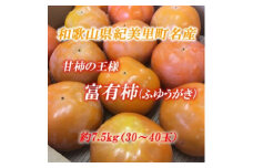 ■[11月中旬より順次発送]和歌山県紀美野町産 富有柿 約7.5kg（30～40玉）