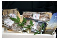 湯浅醤油みりん干し4品種9尾入りの詰め合わせ【和歌山の近海でとれた新鮮魚】【TM64】