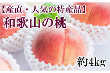【産直・人気の特産品】和歌山の桃　約4kg・秀選品★2025年6月下旬～8月中旬頃順次発送★【TM168】