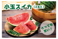 とっても甘い！食べきりサイズの小玉スイカ　ひとりじめ　2玉入［HC2］