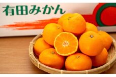 有田みかん　約5ｋｇ