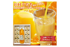 田村そだちみかんゼリー＆ジュースセット