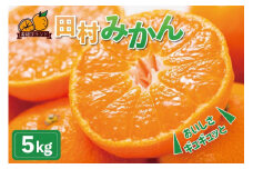 高級ブランド田村みかん　5kg【2025年11月下旬以降発送】【先行予約】【UT14】