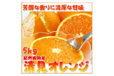 とにかくジューシー清見オレンジ　5kg［2026年3月下旬以降発送］［先行予約］［UT53］