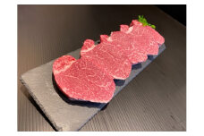 和歌山県産 黒毛和牛「熊野牛」 特選ヒレ(希少部位)ステーキ 480g(120g×4枚) 4等級以上