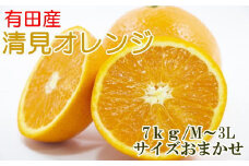 【濃厚】有田産清見オレンジ約7kg（サイズおまかせ・秀品）★2023年2月中旬より順次発送