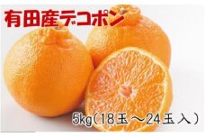 ［お味濃厚］紀州有田産のデコポン約5kg(18玉～24玉入り・青秀以上)★2026年2月中旬頃より順次発送［TM26］