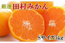 【ブランドみかん】田村みかん約5kg（Sサイズ・秀品）★2025年11月中旬頃より順次発送【TM104】