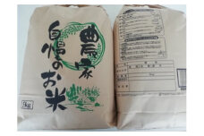 いくひかり　10kg［2023年産］
