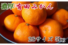 [秀品]和歌山有田みかん約5kg(2Sサイズ) ★2025年11月中旬頃より順次発送【TM83】