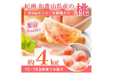 秀品紀州和歌山産の桃約4kg化粧箱入【2025年6月下旬より順次発送】【UT106】