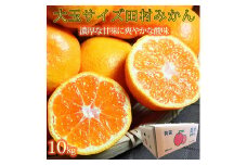 高級ブランド田村みかん　10kg　大玉サイズ【2025年11月下旬以降発送】【先行予約】【UT15】