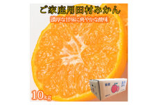 【ご家庭用訳あり】田村みかん　１０kg【2025年11月下旬以降発送】【先行予約】【UT16】