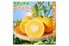 夏みかん 7.2kg［2026年4月中旬頃から発送］［先行予約］［UT73］