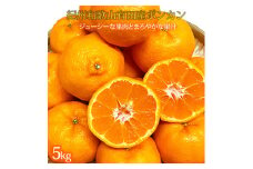 紀州和歌山有田産ポンカン　５ｋｇ【2026年2月上旬頃～2026年2月下旬頃に順次発送】【UT20】