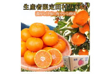 高級ブランド田村みかん　10kg【2025年11月下旬以降発送】【先行予約】【UT17】