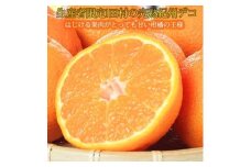 高級ブランド田村の完熟紀州デコ(不知火)［先行予約］［UT44］