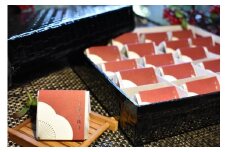 高級南高梅うす塩個包装20粒入 紀州塗箱 網代模様仕上 【SW81】