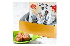紀州南高梅 はちみつ梅干（テトラピロー）12個入り 【2箱】 【US10】