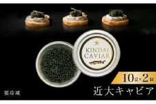 近大キャビア10ｇ×2個