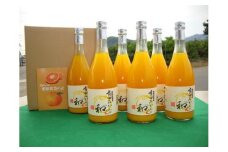 有田みかんの和α　７２０ｍｌ×６本入