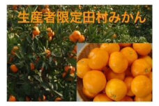田村みかん　２L～３L　約５ｋｇ入