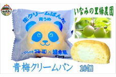いなみの里梅園　青梅クリームパン10個