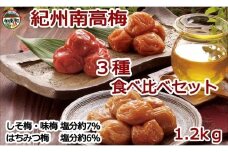 紀州南高梅詰め合わせセット　1.2ｋｇ（蜂蜜・しそ梅・味梅300ｇ×各１個・100ｇ×各１個）
