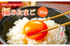 紀の国みかん極みたまご36個 卵 たまご 玉子 タマゴ 鶏卵  卵かけご飯 