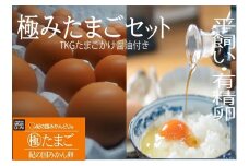 紀の国みかん極みたまごTKGセット