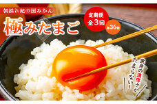 【全3回】紀の国みかん極みたまご定期便 卵 たまご 玉子 タマゴ 鶏卵  卵かけご飯 