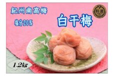 【家庭用】紀州南高梅　白干梅　1.2kg