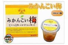 みかんこい梅　100g×5個