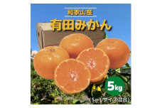 和歌山県産 有田みかん 5kg 秀品 【US61】
