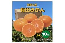 和歌山県産 有田みかん 10kg 秀品 【US58】