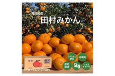 湯浅産　田村みかん　5kg　(サイズおまかせ)