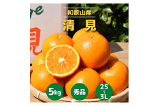 和歌山県産　有田の清見　約5kg　秀品