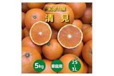 和歌山県産　有田の清見　約5kg　家庭用