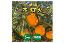 和歌山産　不知火 約3kg【家庭用】