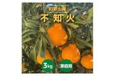 和歌山産 不知火 約3kg ［家庭用］［US64］