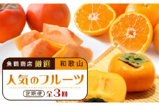 【魚鶴商店厳選】和歌山人気のフルーツ定期便（柿・みかん）【定期便全3回】【UT115】