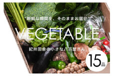 旬の新鮮野菜詰め合わせたっぷり15種以上【野菜セット】